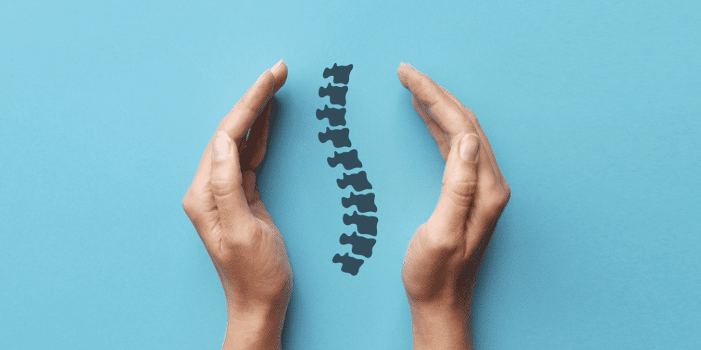 Hands cupped around the outside of an illustrated spine on a blue background