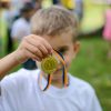 Cute young boy holding gold medal