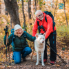 Older couple hiking in the woods with their dog.